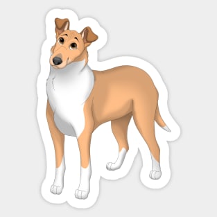 Sable Smooth Collie Dog Sticker